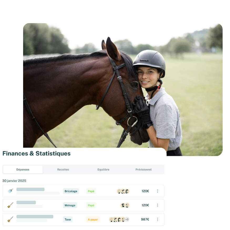 budget_cheval budget_cheval