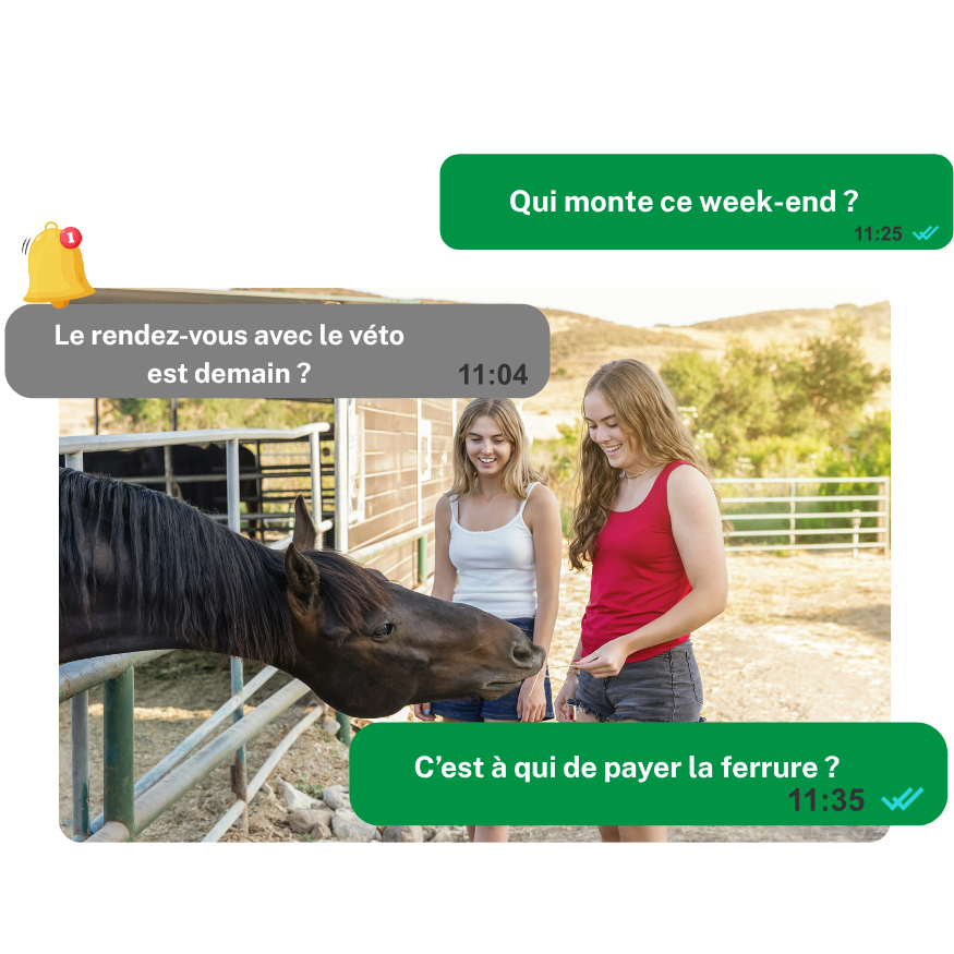 question_cheval question_cheval