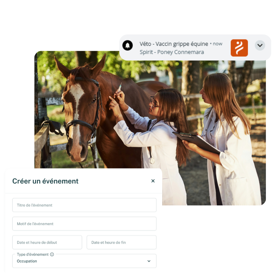 calendrier_cheval calendrier_cheval