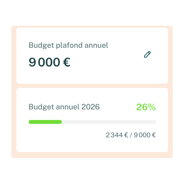 Budget plafond annuel